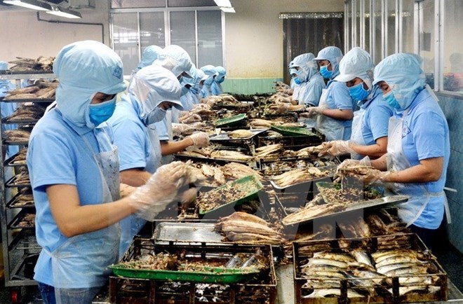 附圖：2018年前兩月越南水產(chǎn)品出口額同比增長近30%。（圖片來源：越通社）